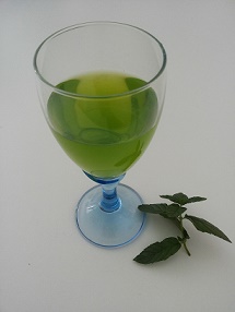 menta2