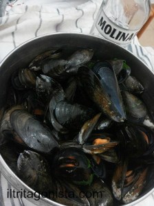 cozze
