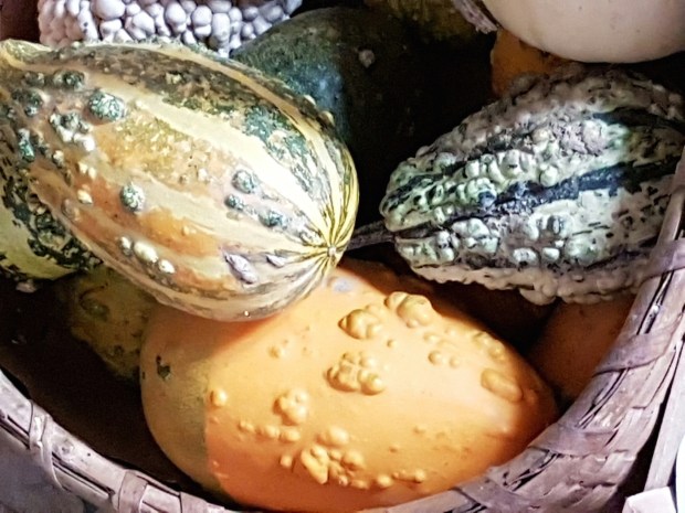 20161029_131518_resized