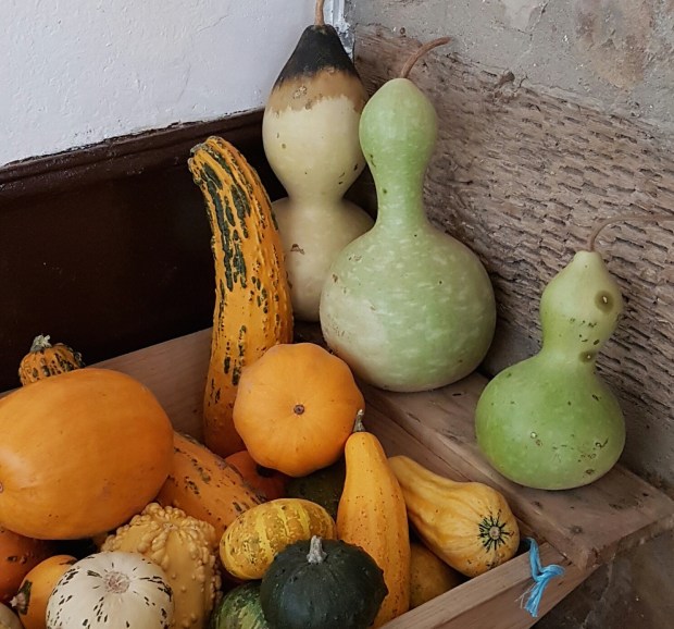 20161029_131557_resized